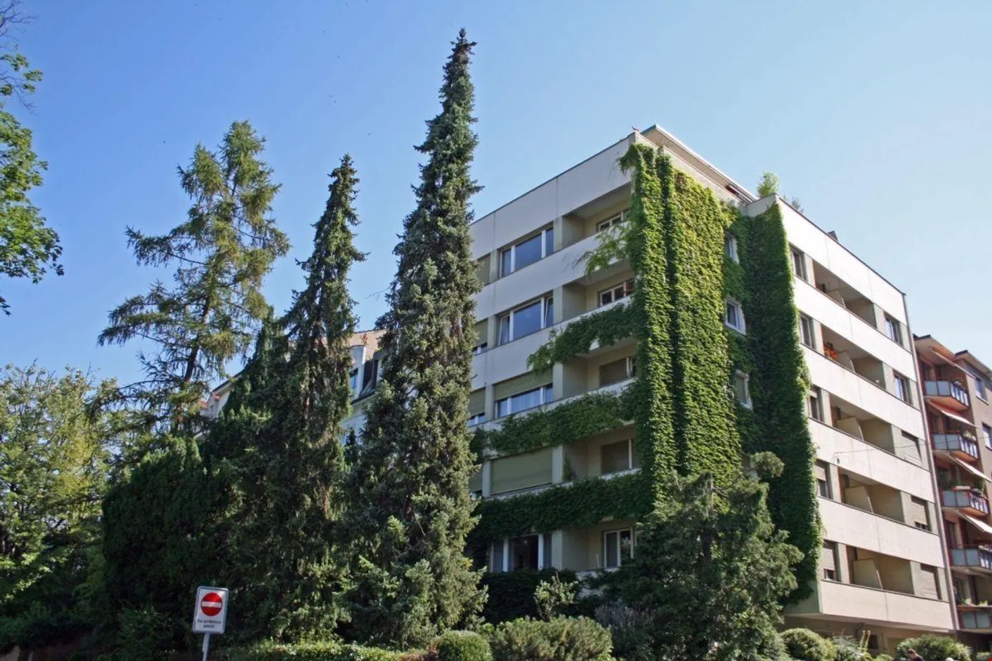 Renovated apartment with new kitchen by the Rhine - Photo 1 of 6