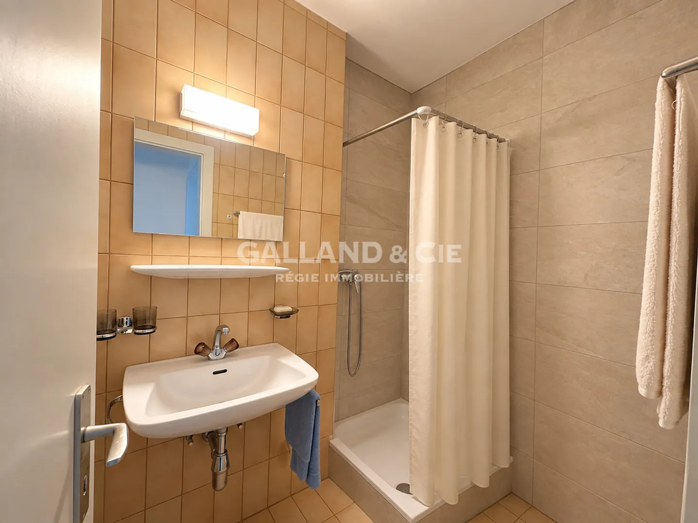 Elegant Apartment with Lake View - Photo 8 of 8