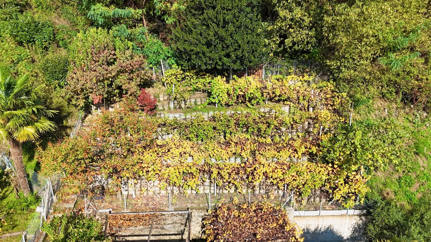 Villa in affitto - Foto 17 di 17