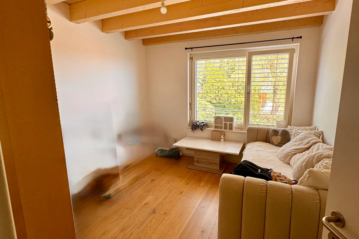 Lease takeover - 3.5 room duplex with lake view - Photo 2 of 8