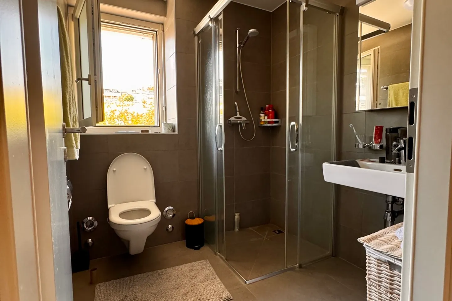 Lease takeover - 3.5 room duplex with lake view - Photo 6 of 8