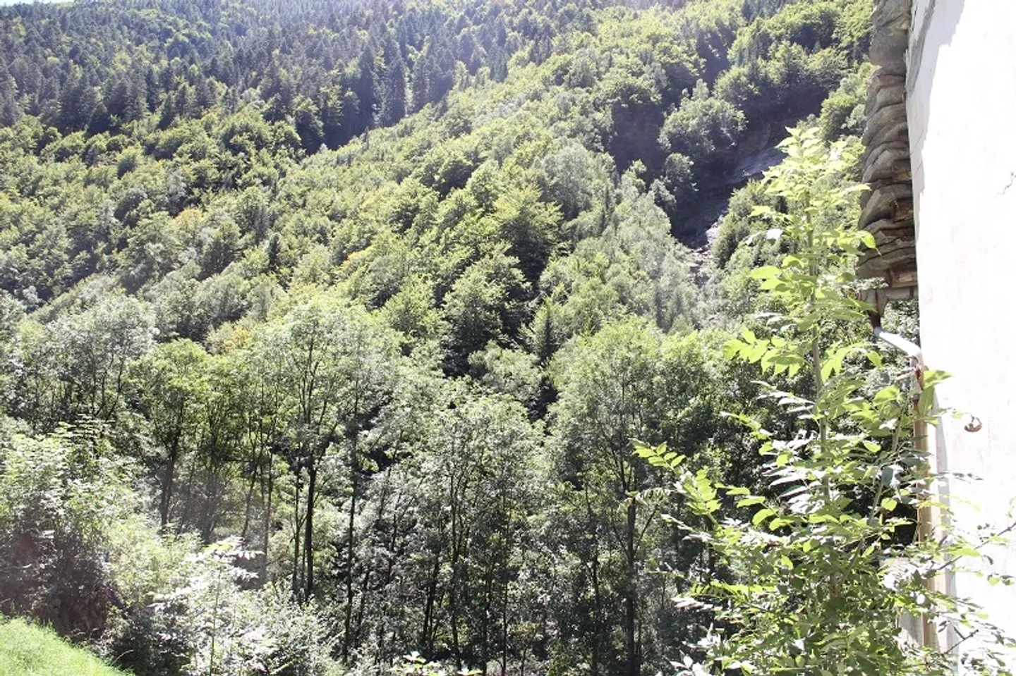 Rustico da sviluppare con molto terreno circostante - Foto 3 di 8