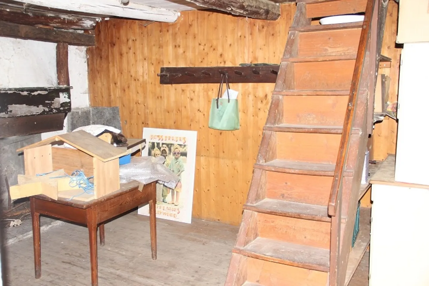 Rustico da sviluppare con molto terreno circostante - Foto 6 di 8