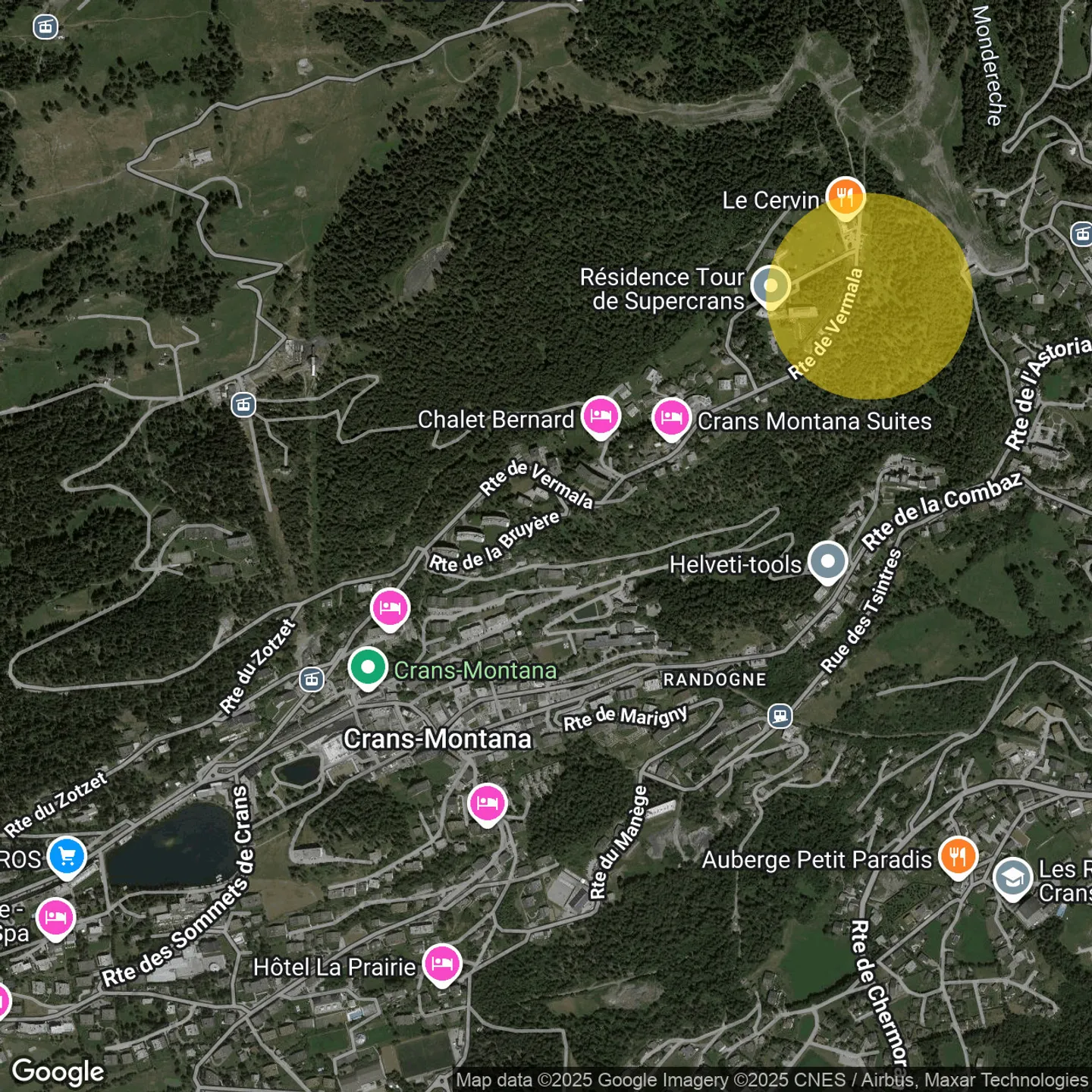 5004. Panoramic view from this vast penthouse, SKI IN / OUT - Photo 31 of 32