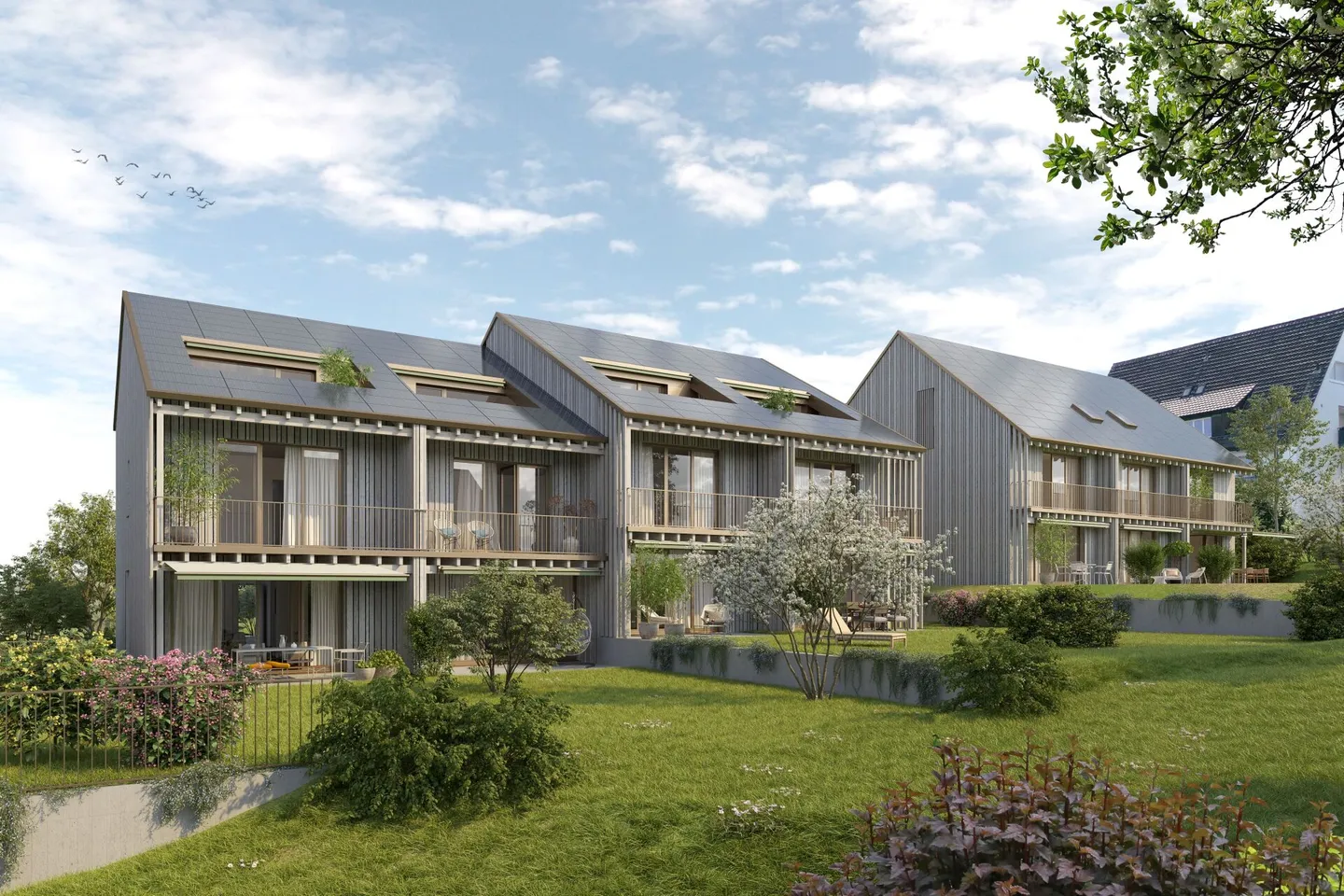 Votre nouveau chez-vous dans le vert - Projet de construction Schönmatt - Photo 9 sur 9