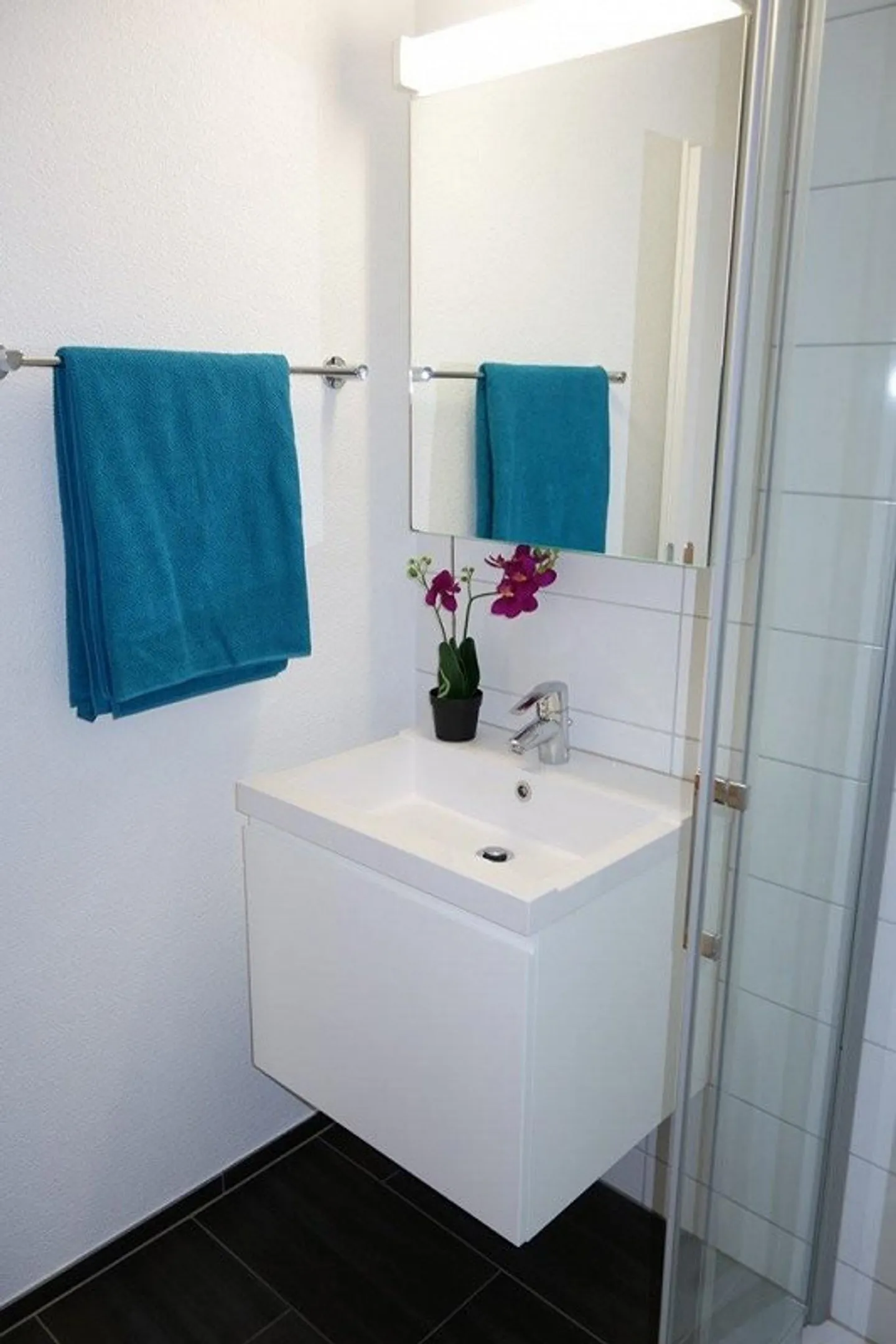 Appartement idyllique avec terrasse au bord du lac de Constance - Photo 8 sur 11