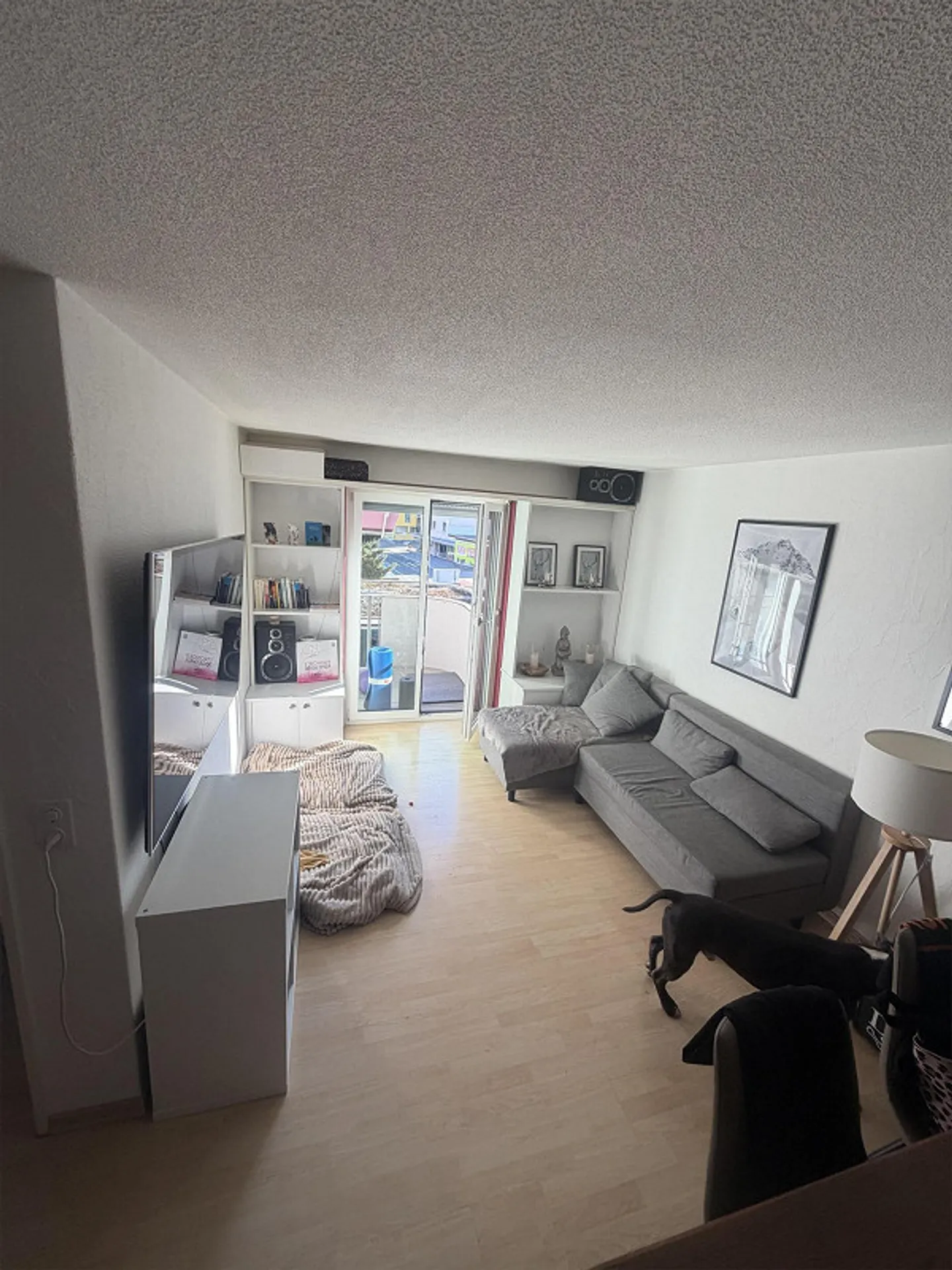 Furnished 2-room apartment available until the end of October - Photo 1 of 7