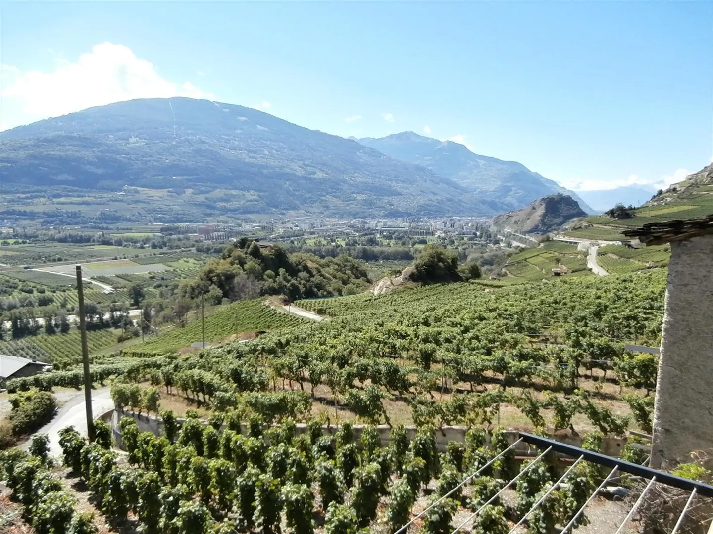 2.5 Room Apartment - Photo 1 of 11