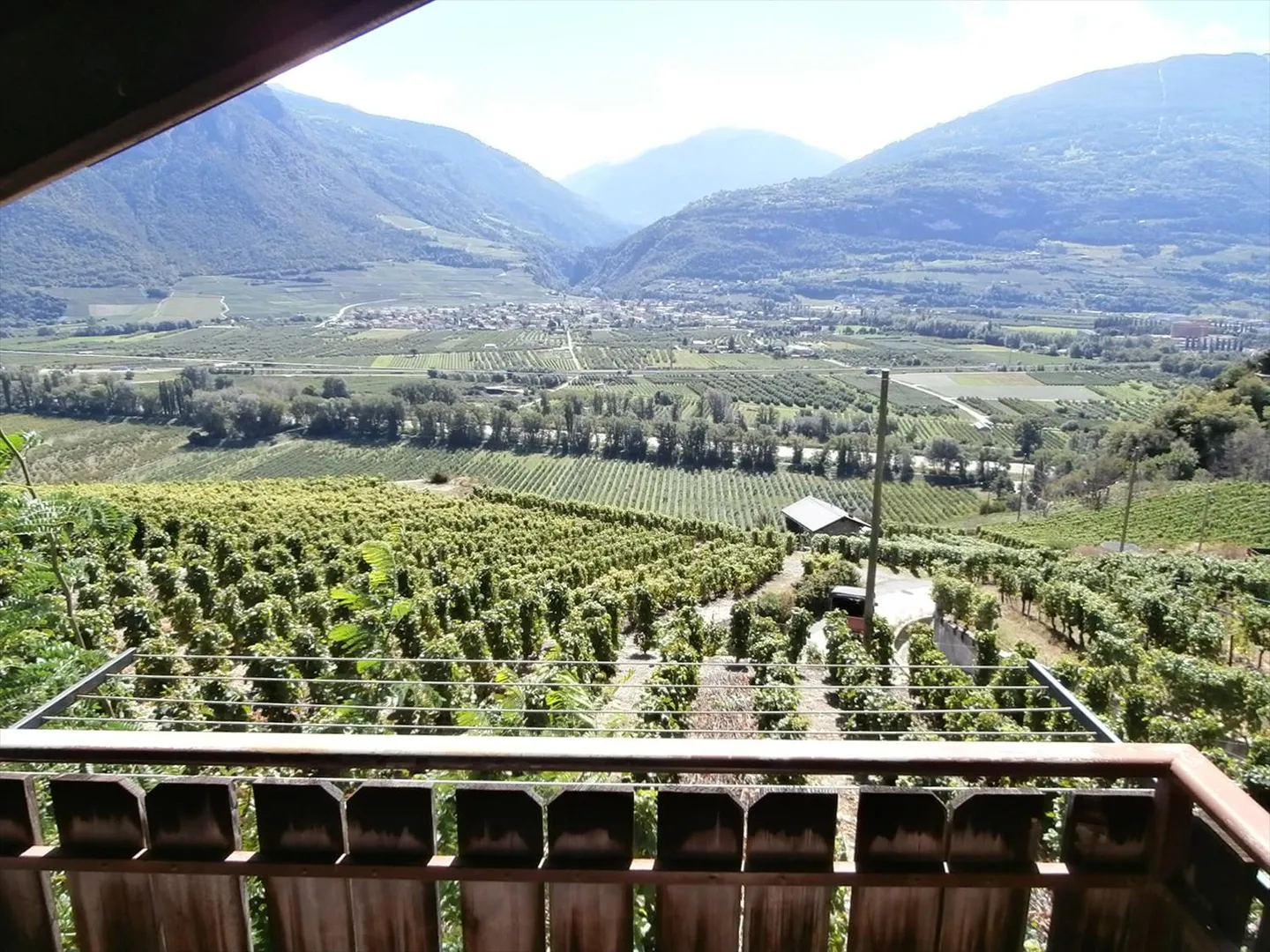 2.5 Room Apartment - Photo 10 of 11