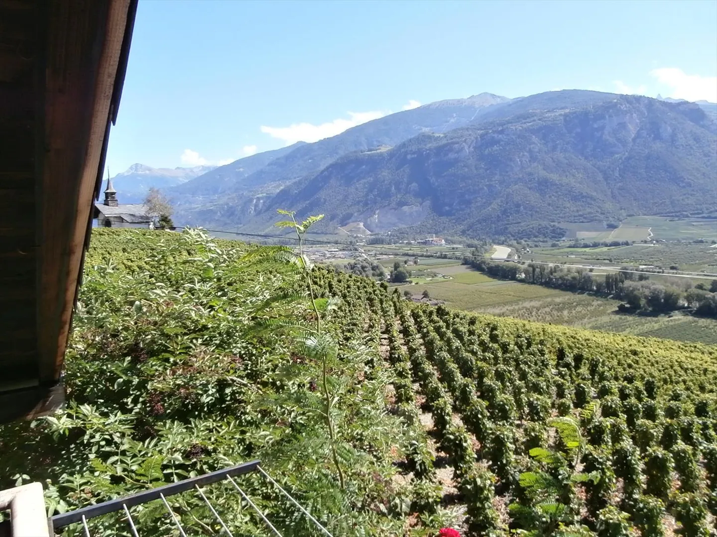 2.5 Room Apartment - Photo 11 of 11