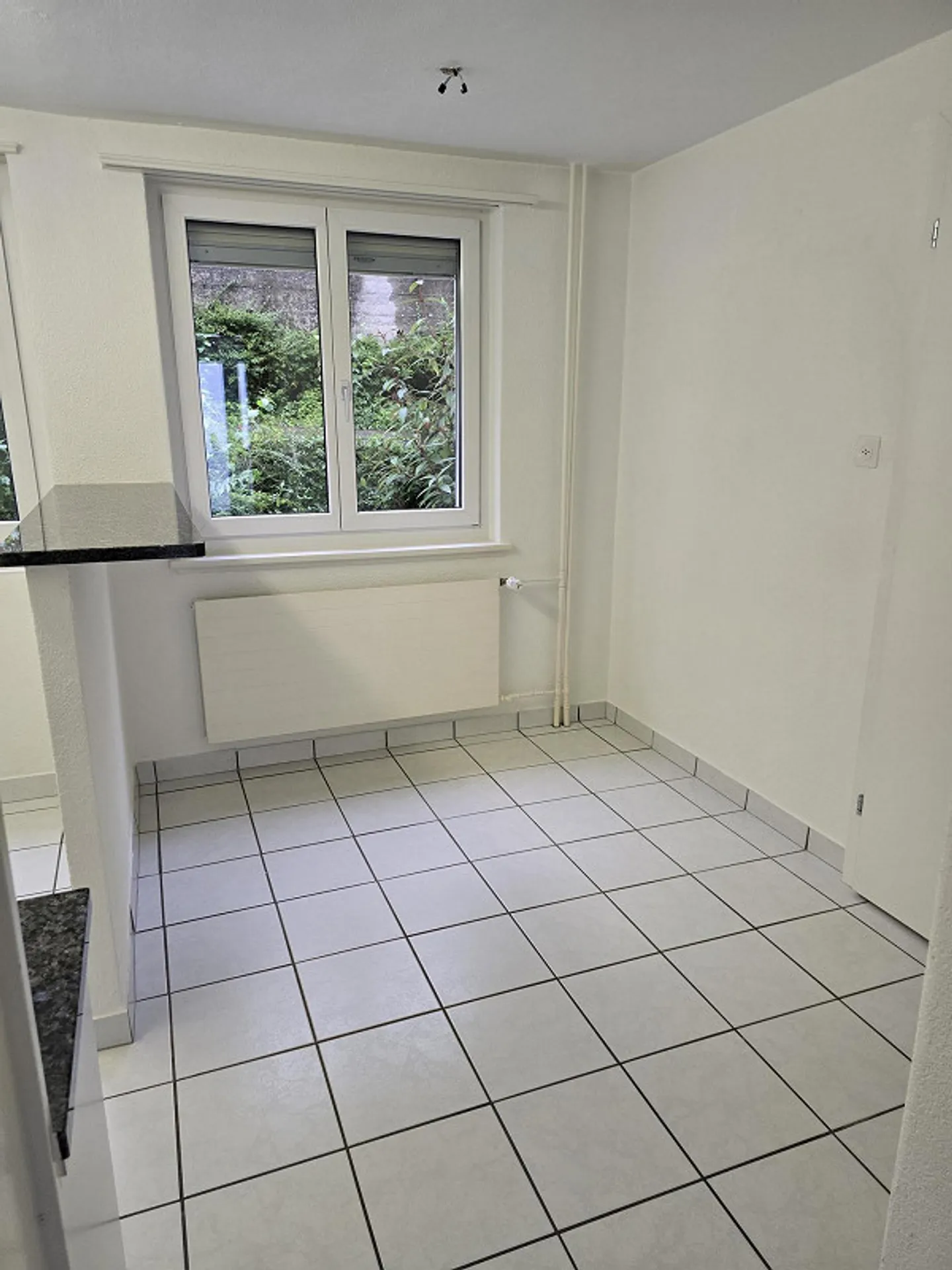 Appartement charmant dans un quartier résidentiel calme à Schaffhouse - Photo 6 sur 10
