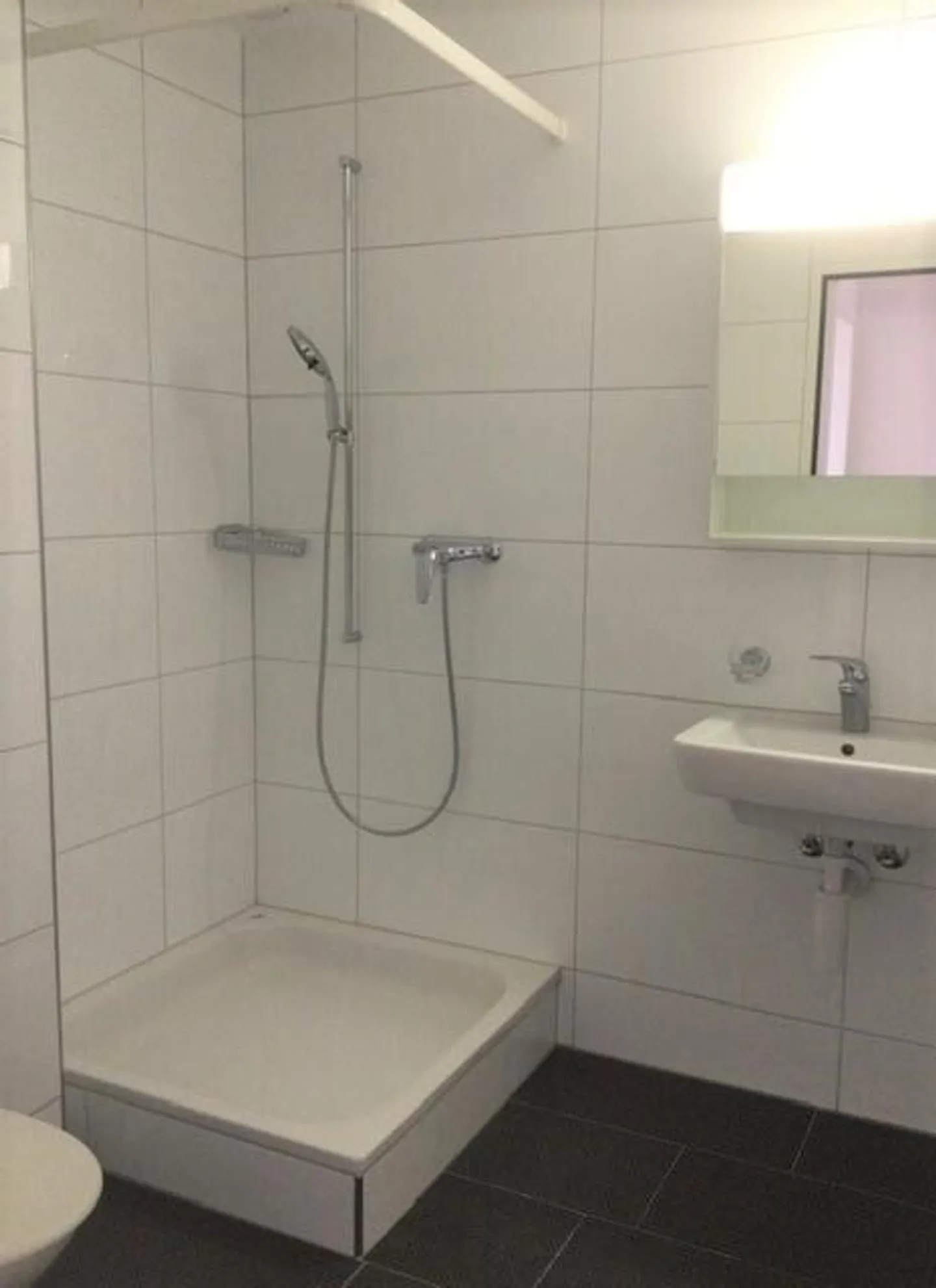 Visita: Giovedì 5 febbraio 2026 dalle 16:00 alle 16:30 - Foto 4 di 9