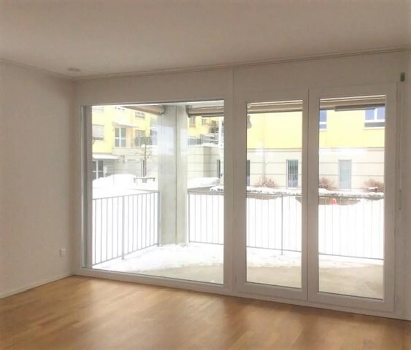 Visita: Giovedì 5 febbraio 2026 dalle 16:00 alle 16:30 - Foto 6 di 9