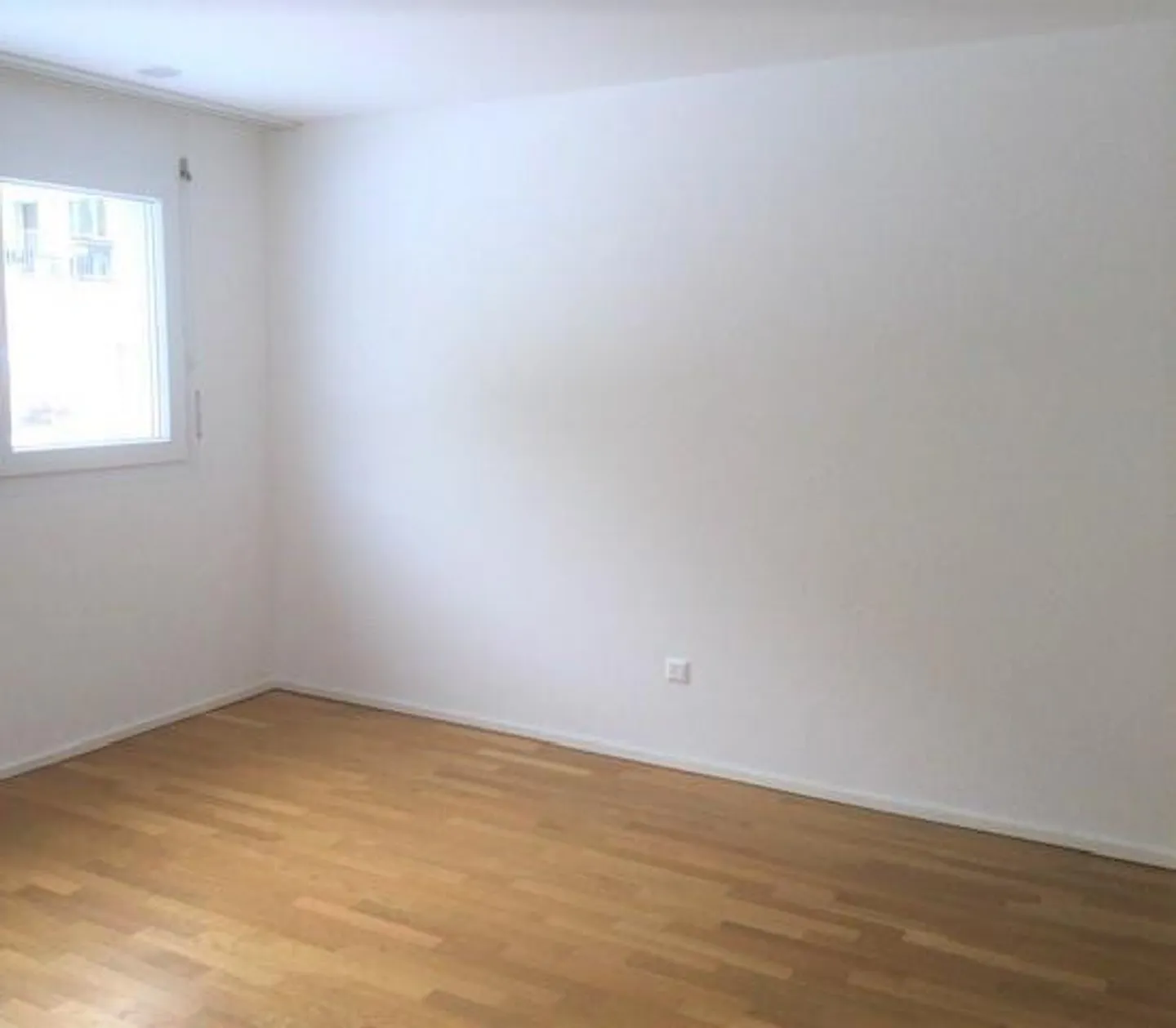 Visita: Giovedì 5 febbraio 2026 dalle 16:00 alle 16:30 - Foto 9 di 9