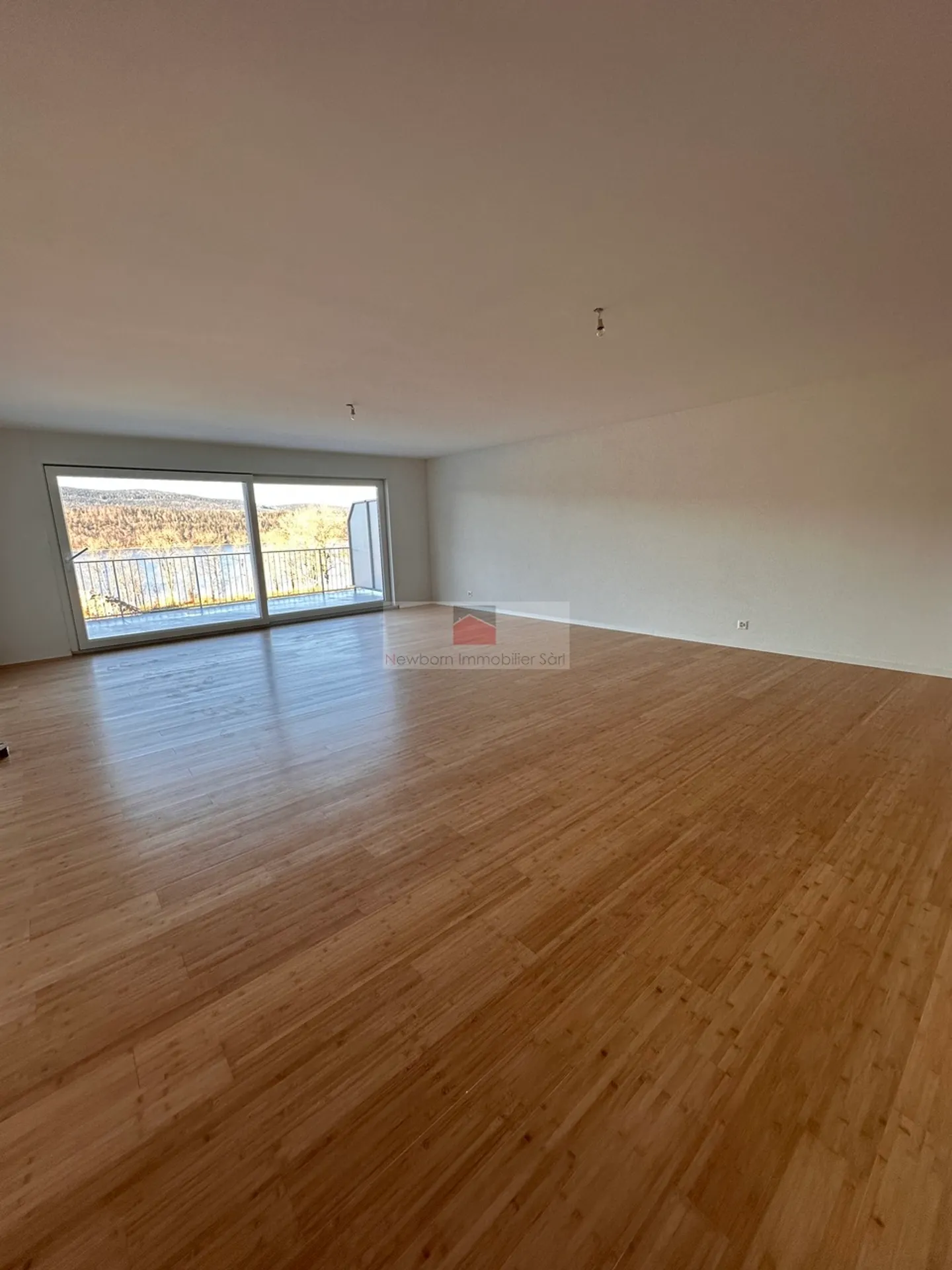 Appartement exceptionnel au Lac de Joux - Photo 6 sur 14