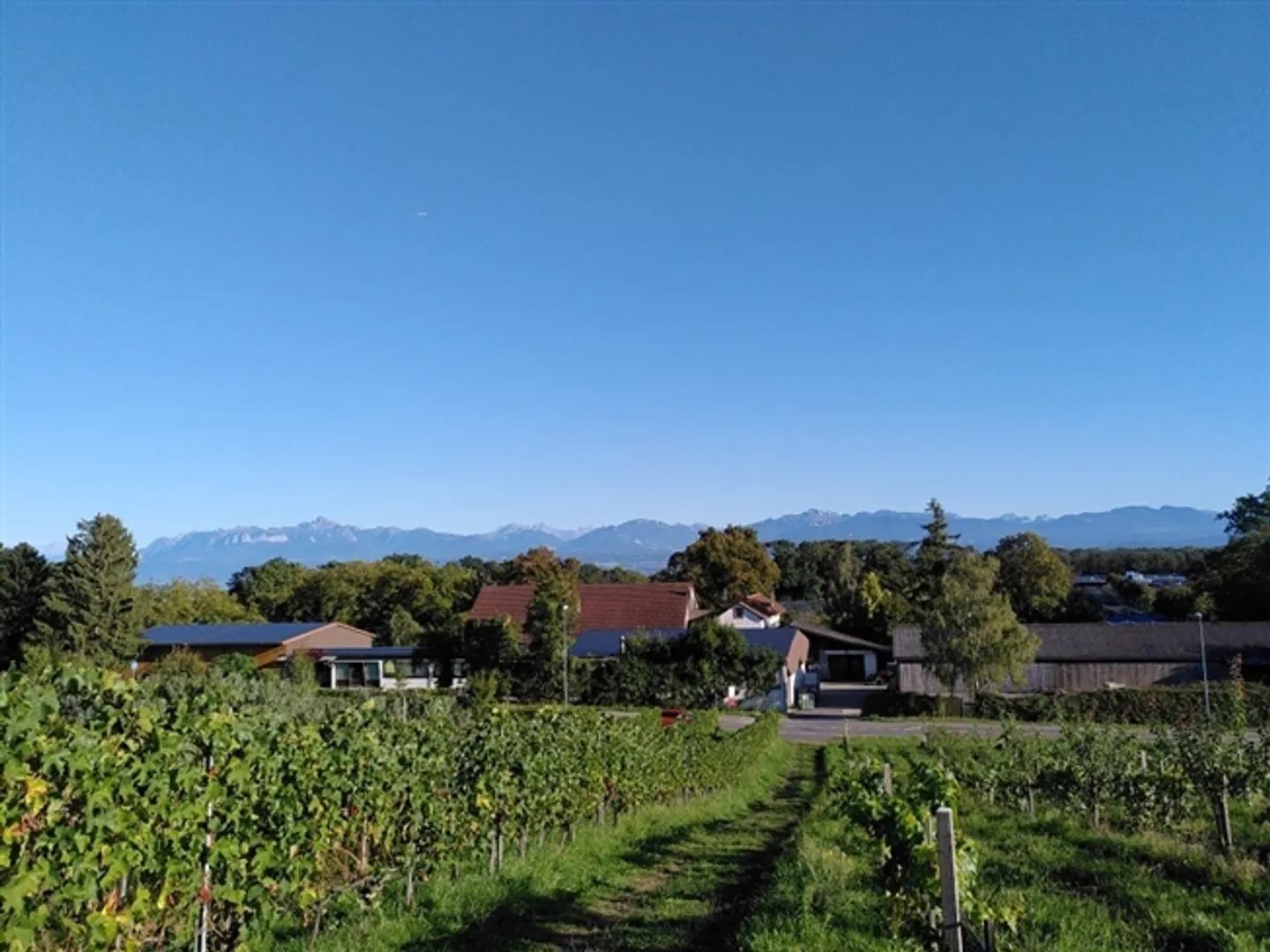 Fruit farm with special crops for lease (Organic Bud) - Photo 17 of 17