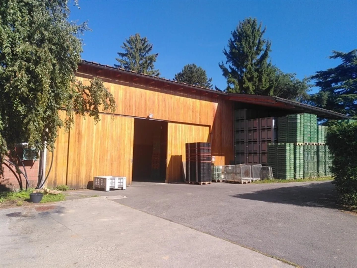 Fruit farm with special crops for lease (Organic Bud) - Photo 13 of 17