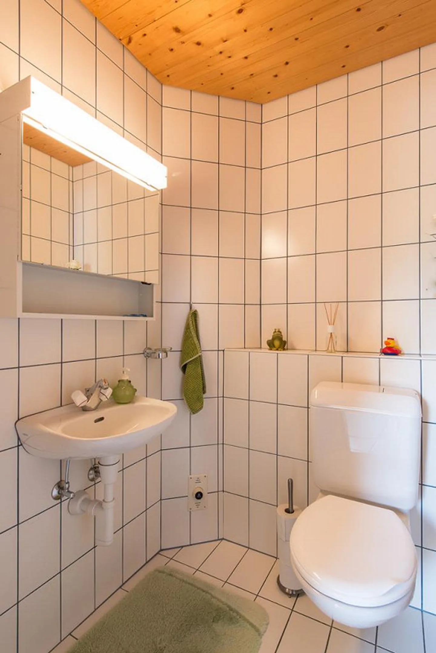 Appartement sous les combles lumineux incluant une salle de bricolage et un compartiment de cave - Photo 4 sur 10