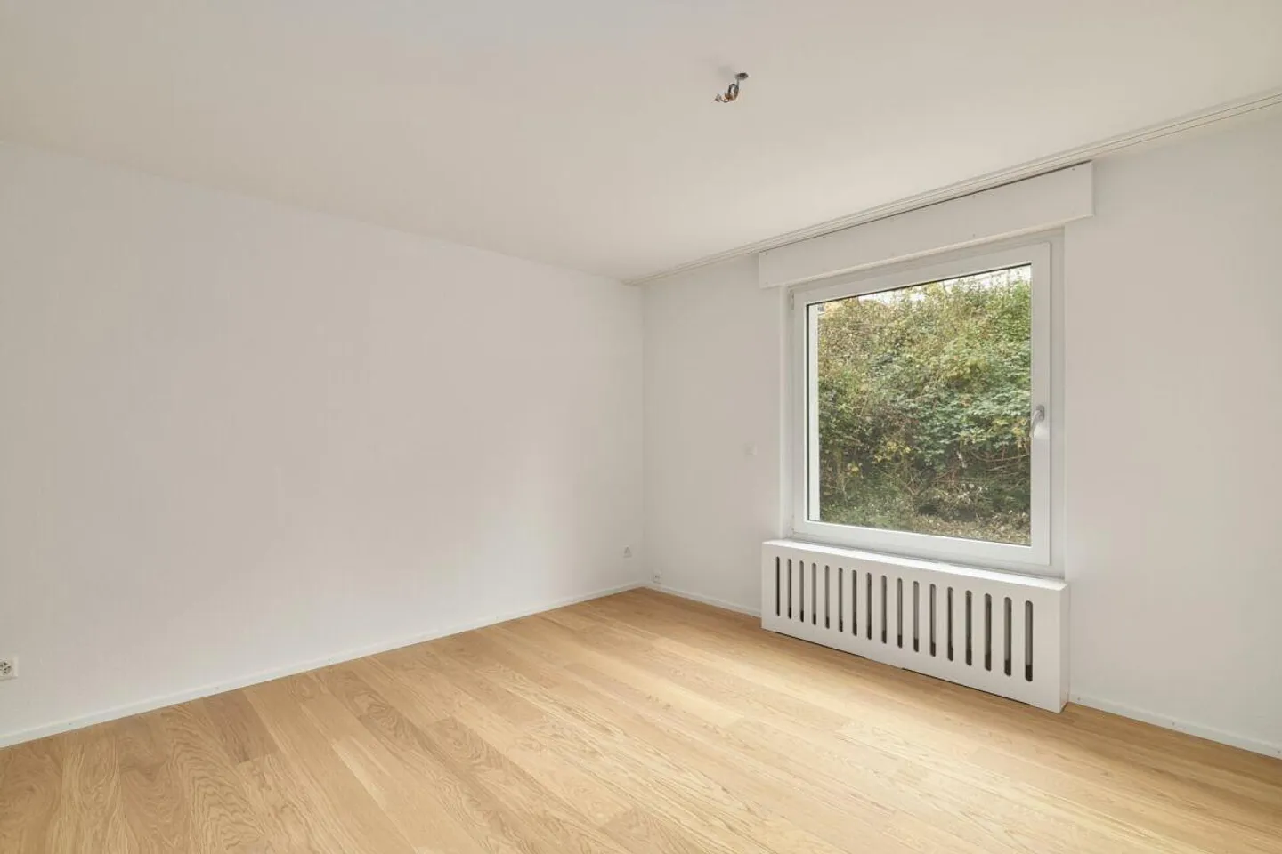 Move in and feel at home! - Photo 6 of 17