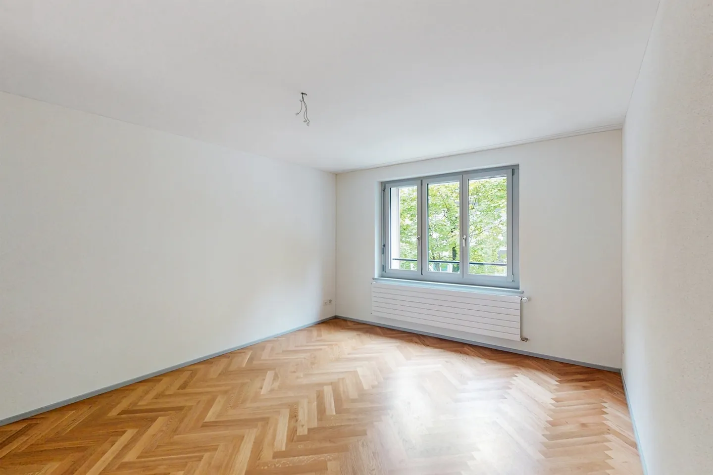 Modern Single Apartment in Top Location - Photo 4 of 6