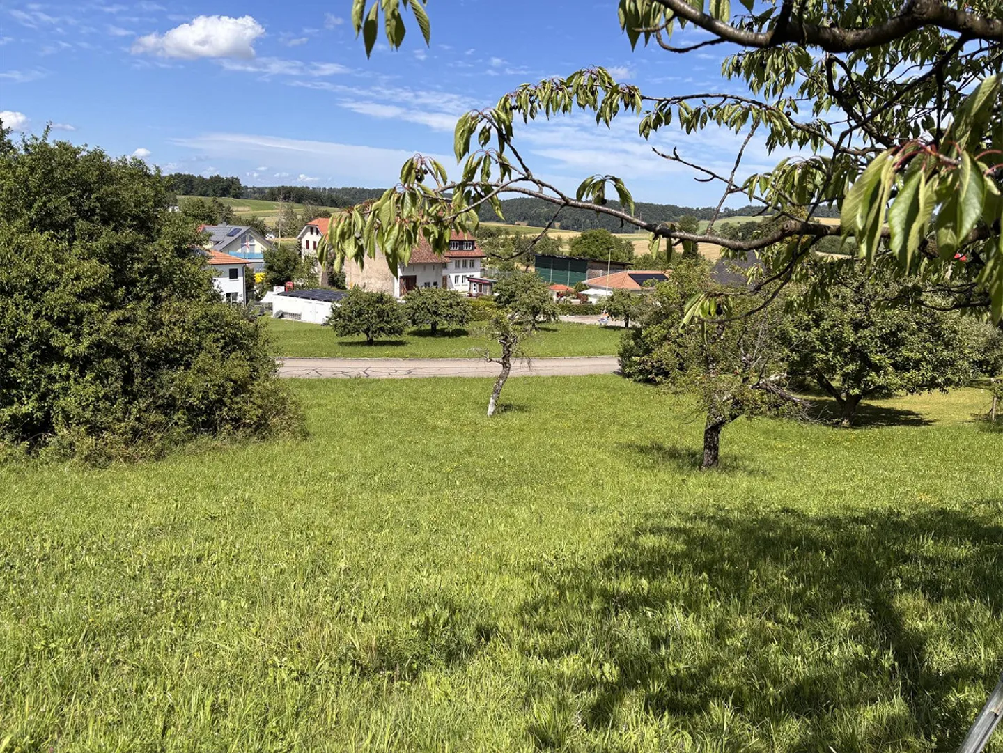 Building Land in Lampenberg - Dream Location at the Edge of the Construction Zone - Photo 1 of 9