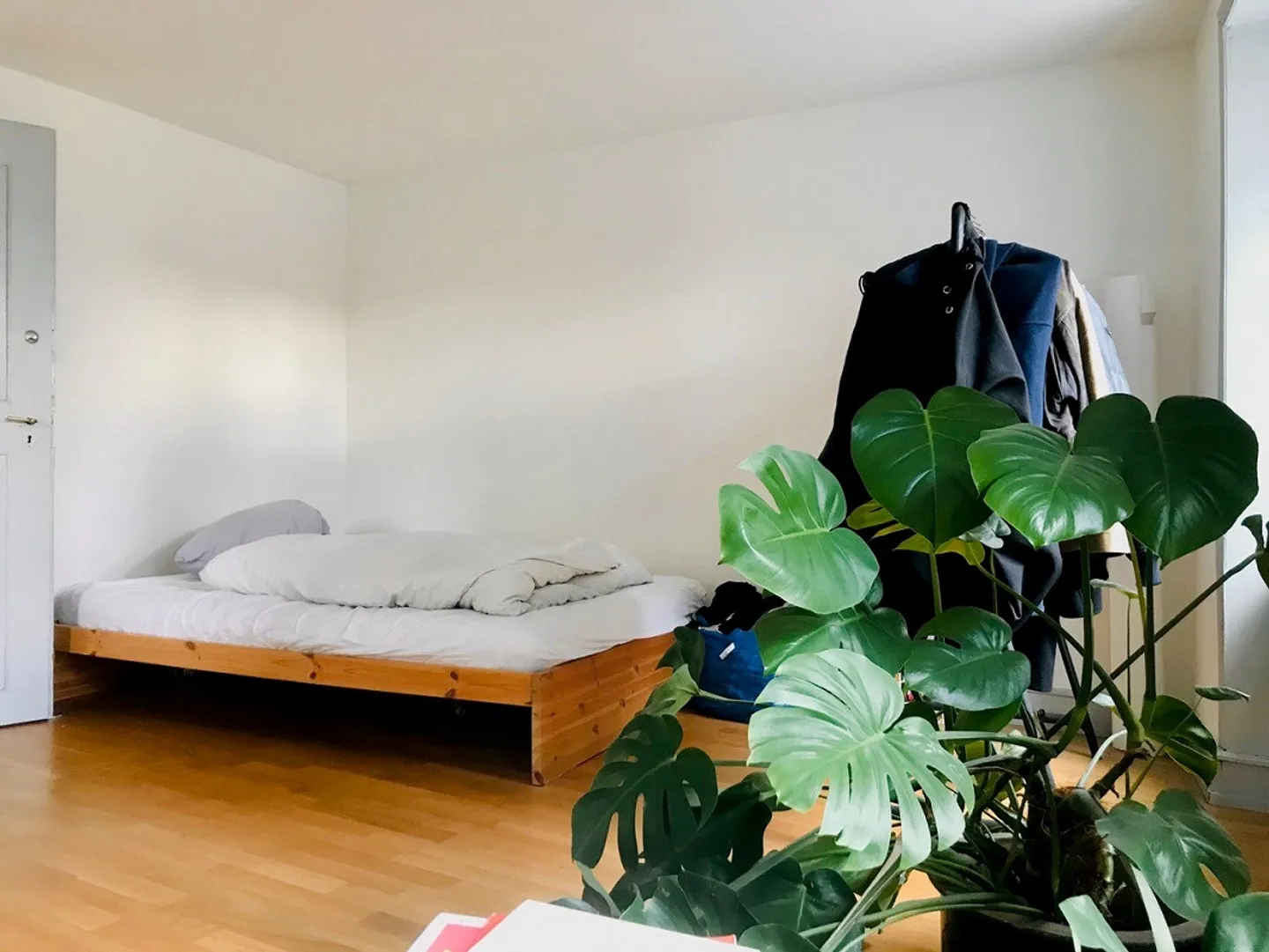 Appartamento nel centro storico con vista sul Reno - Foto 3 di 8