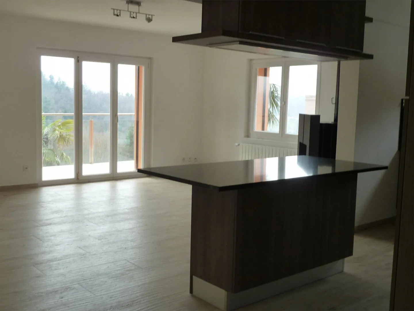 Spacious, with beautiful view, in quiet neighborhood - Photo 2 of 18