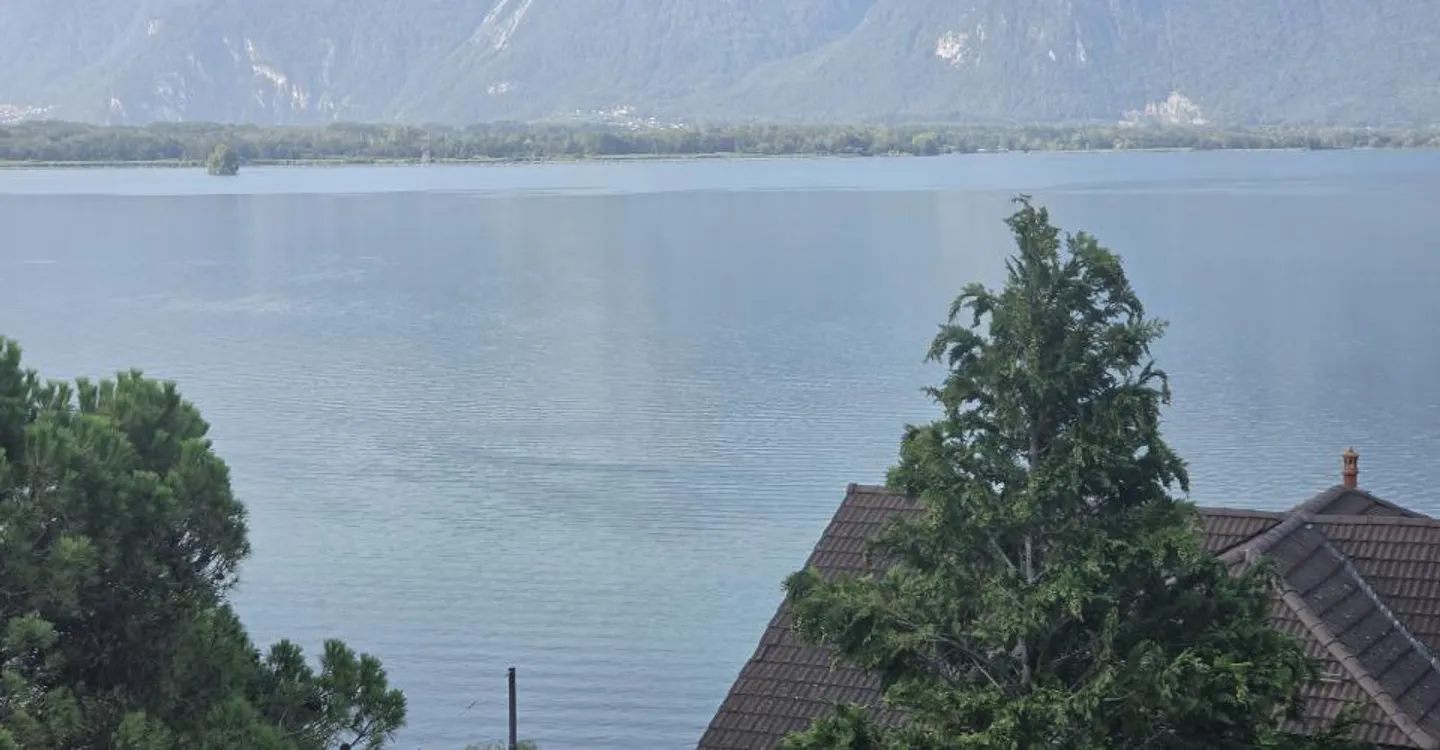 Appartement Charmant avec Vue sur le Lac - Photo 10 sur 15