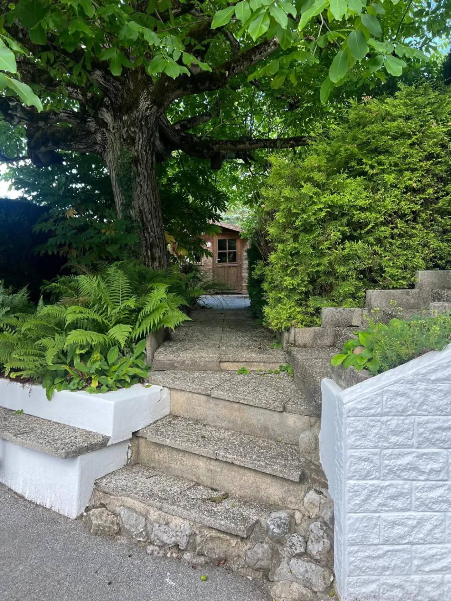 Appartamento Giardino Ristrutturato - Foto 7 di 7