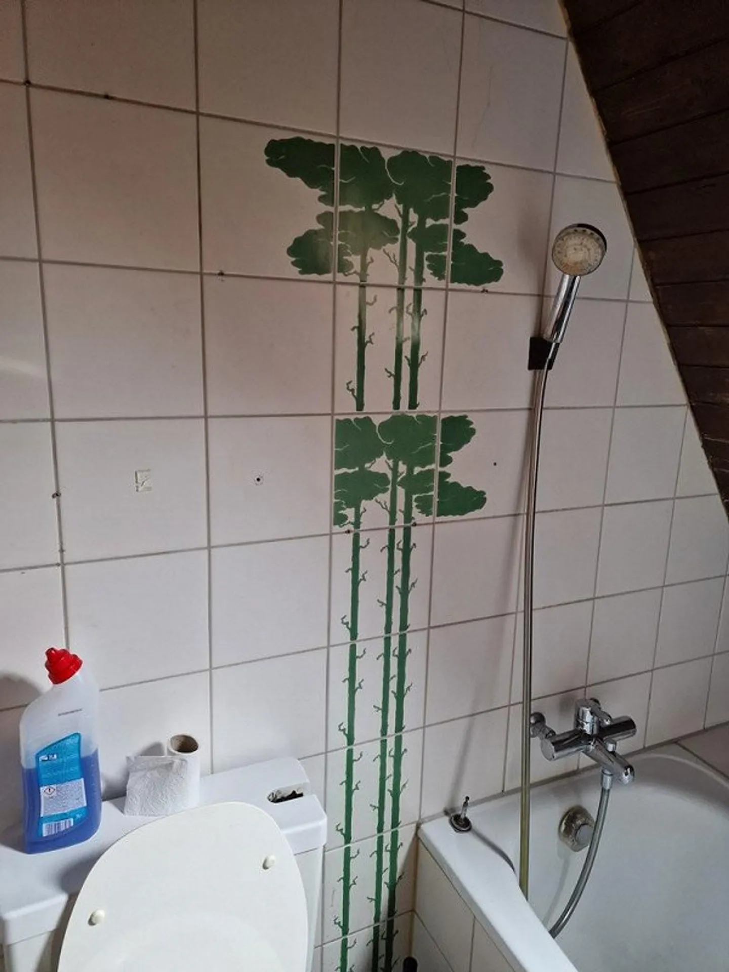 Befristete Wohnung in Dietikon - Foto 7 von 7