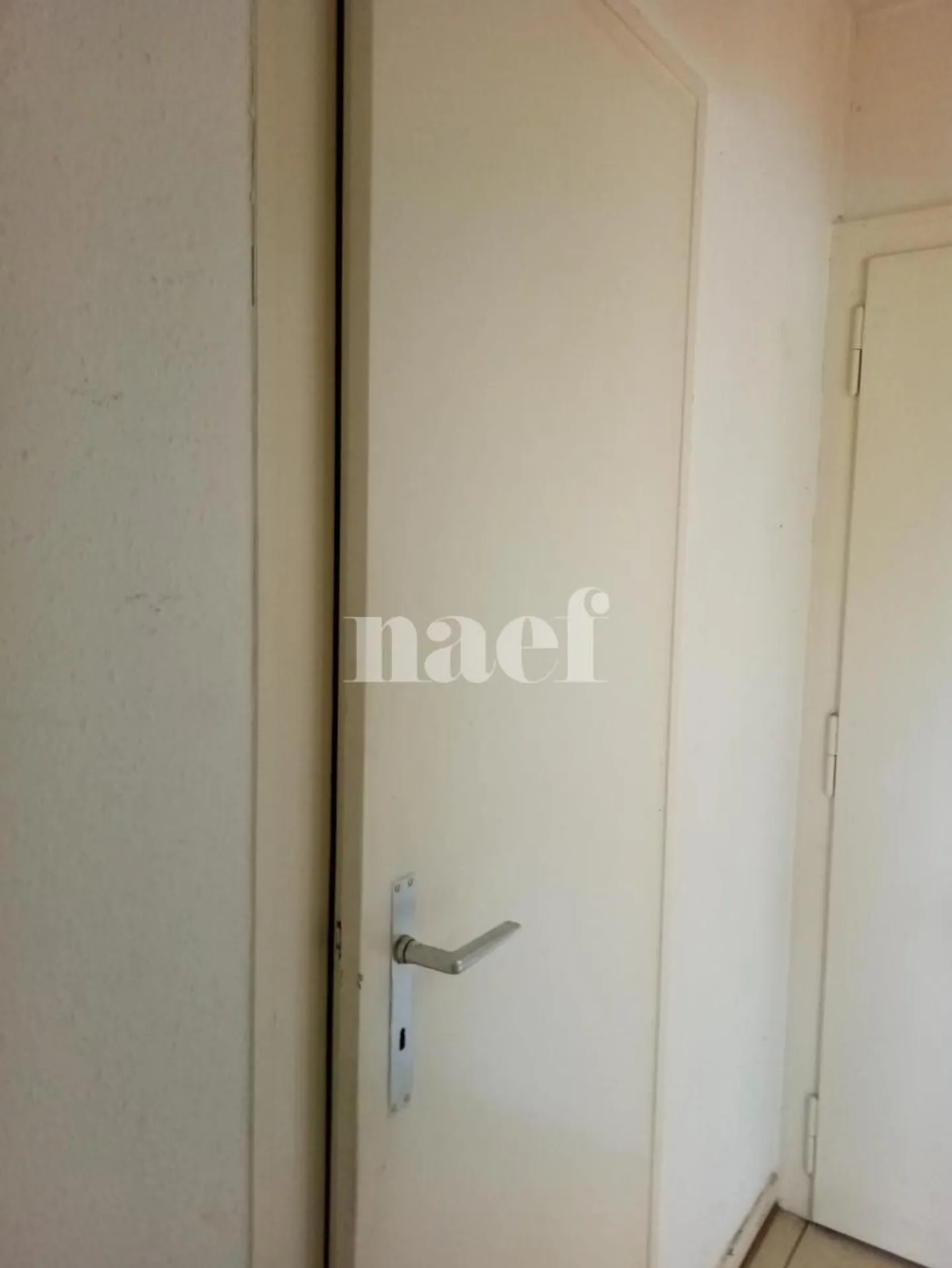 2,5-Zimmer-Wohnung - Foto 1 von 7