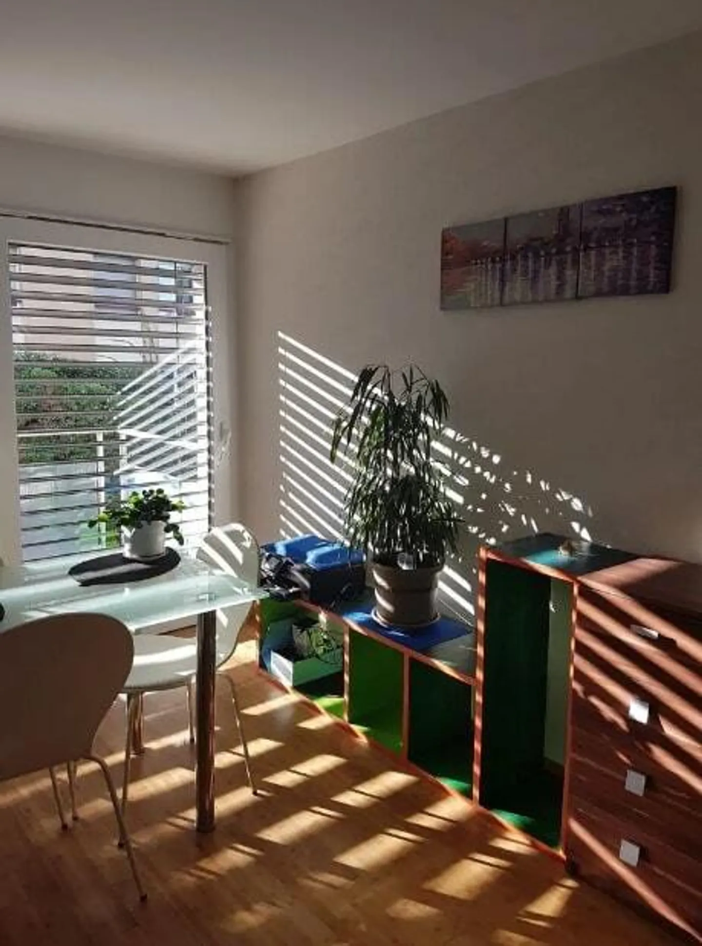 Appartamento in affitto - Foto 1 di 12