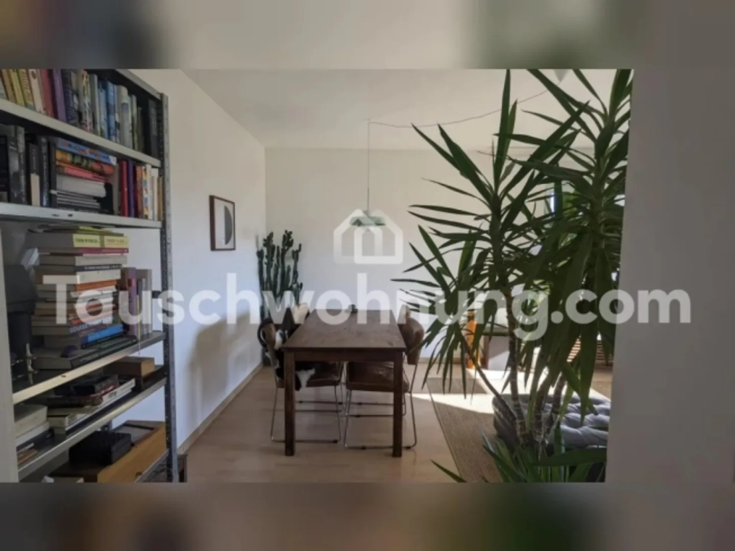 Appartamento in affitto - Foto 2 di 8