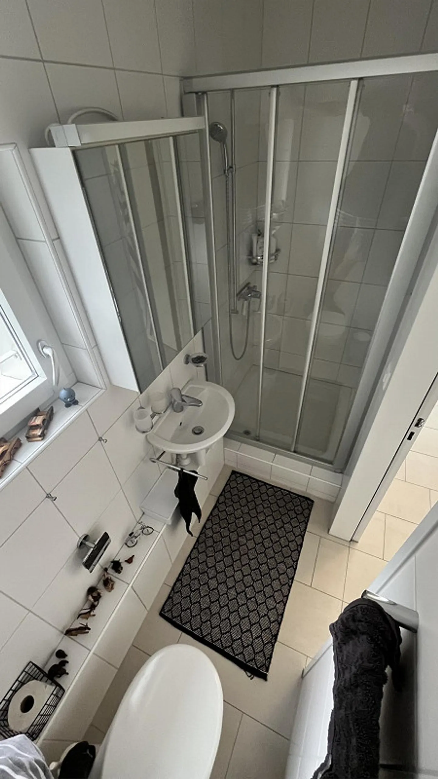 Beautiful penthouse apartment in the orchard in Masans - Photo 9 of 12