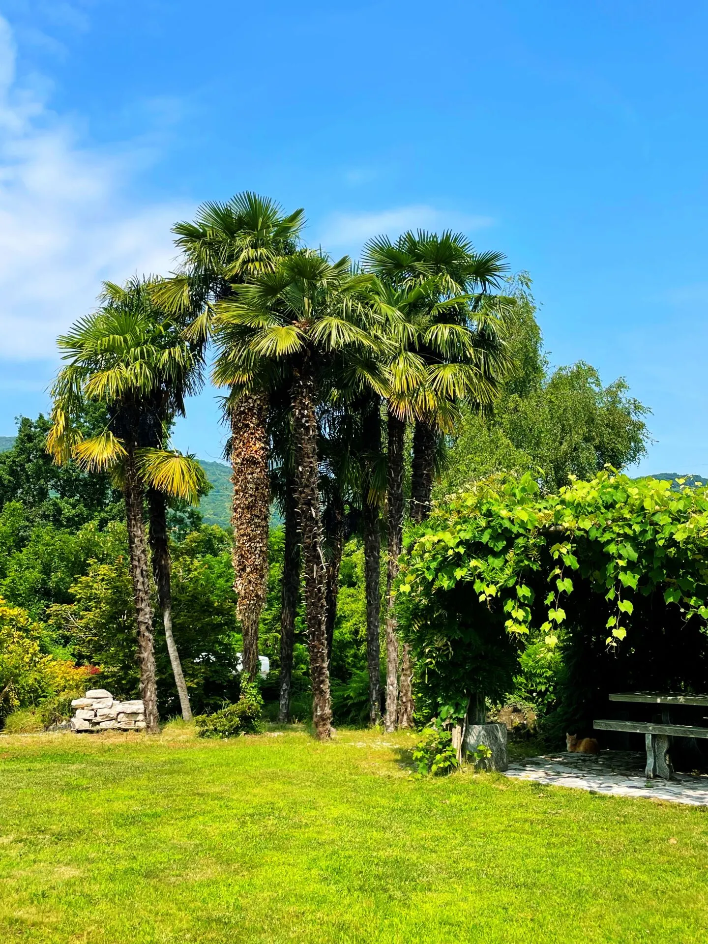 Charmante Villa im Grünen - Foto 4 von 10