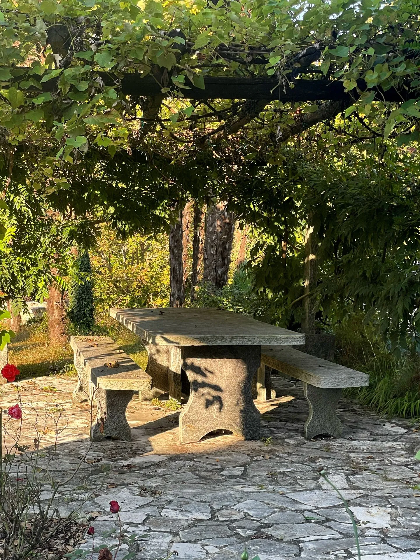 Charmante Villa im Grünen - Foto 6 von 10