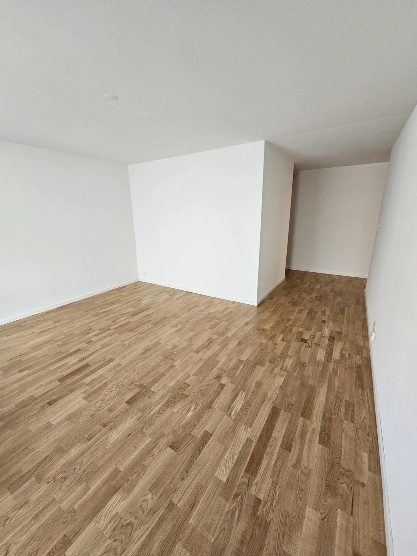 Appartamento di 3 stanze ristrutturato energeticamente nel quartiere Breitenrain - Foto 2 di 8