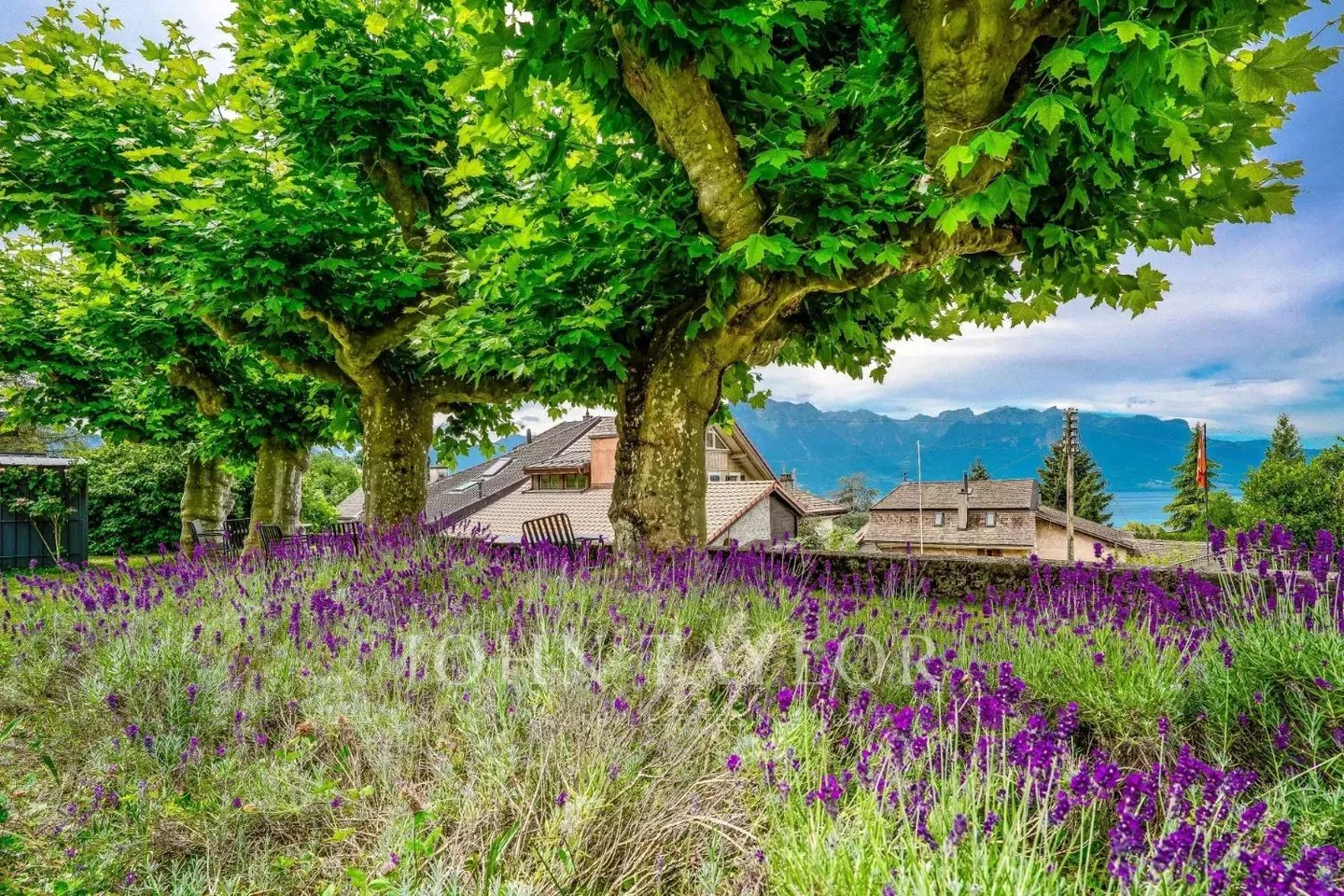 ESCLUSIVITÀ! Appartamenti di alto standard in PPE con vista panoramica e giardino - Foto 9 di 11