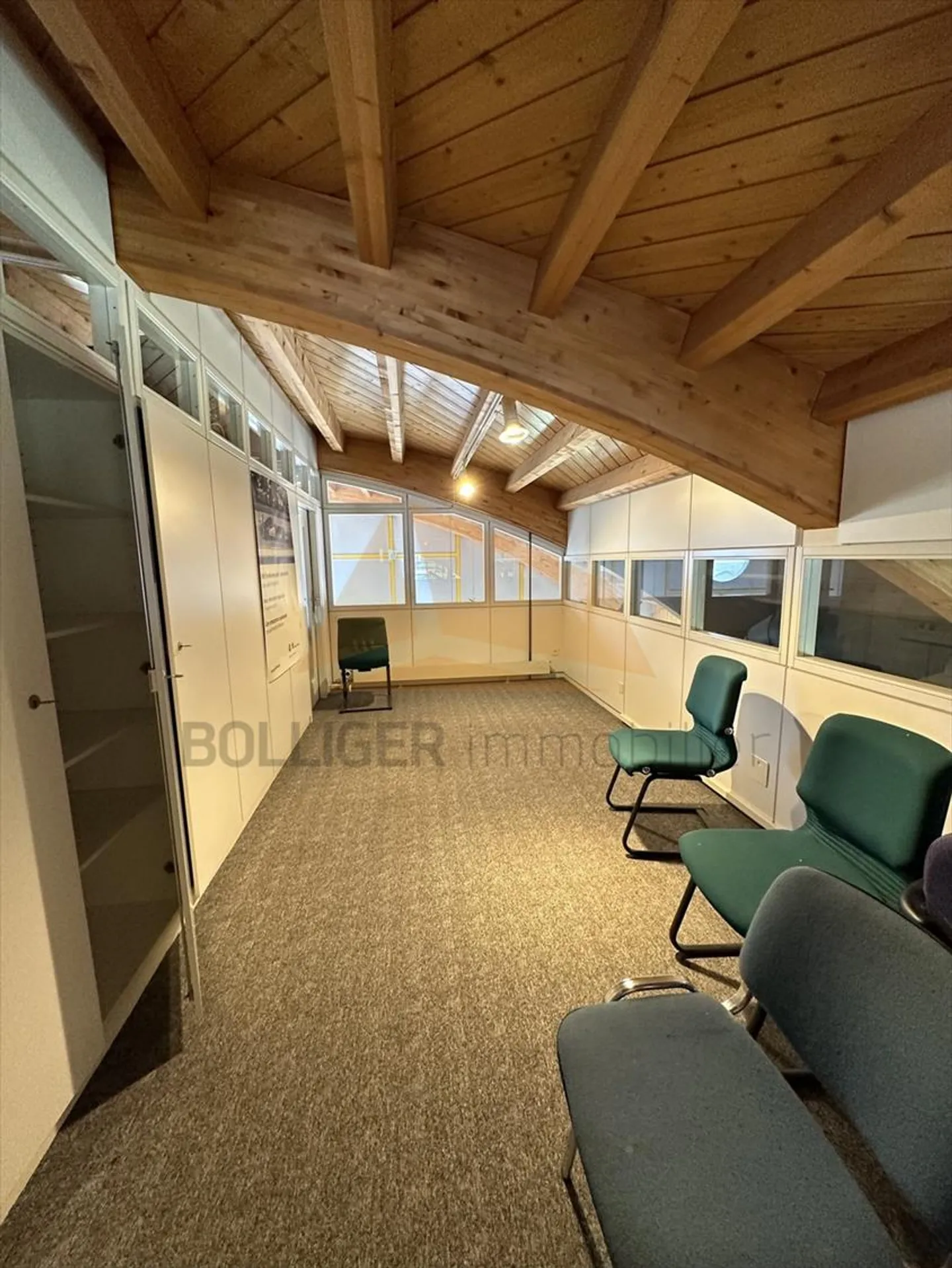 For Sale Hall for Exhibitions, Offices, Storage, Garages and Shooting Range - Photo 5 of 13