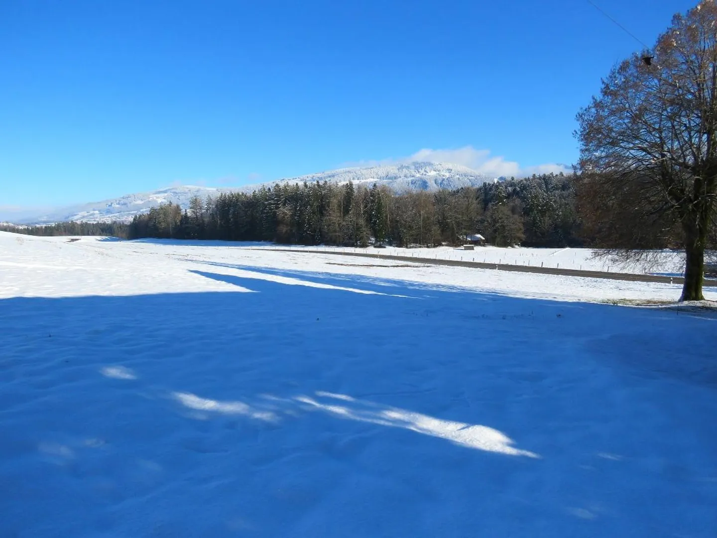 Farm for sale - Photo 6 of 15