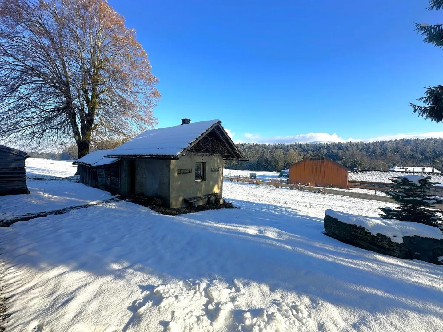 Farm for sale - Photo 7 of 15