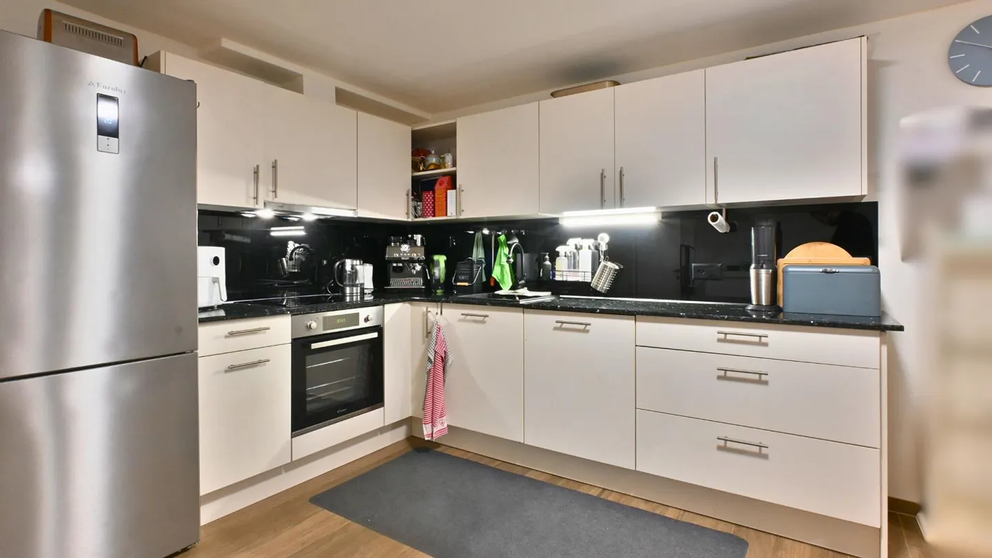 2.5-Room Apartment with Large Terrace in the House for Lions - Photo 3 of 15