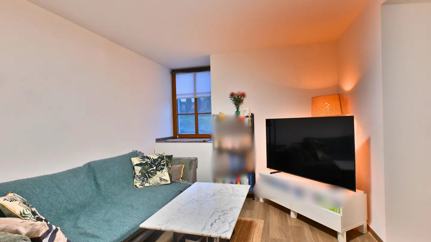 2.5-Room Apartment with Large Terrace in the House for Lions - Photo 5 of 15