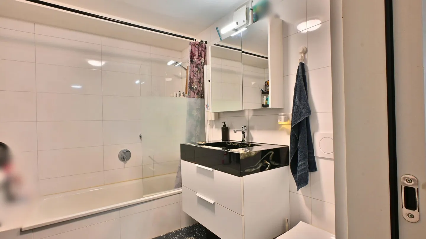 2.5-Room Apartment with Large Terrace in the House for Lions - Photo 9 of 15