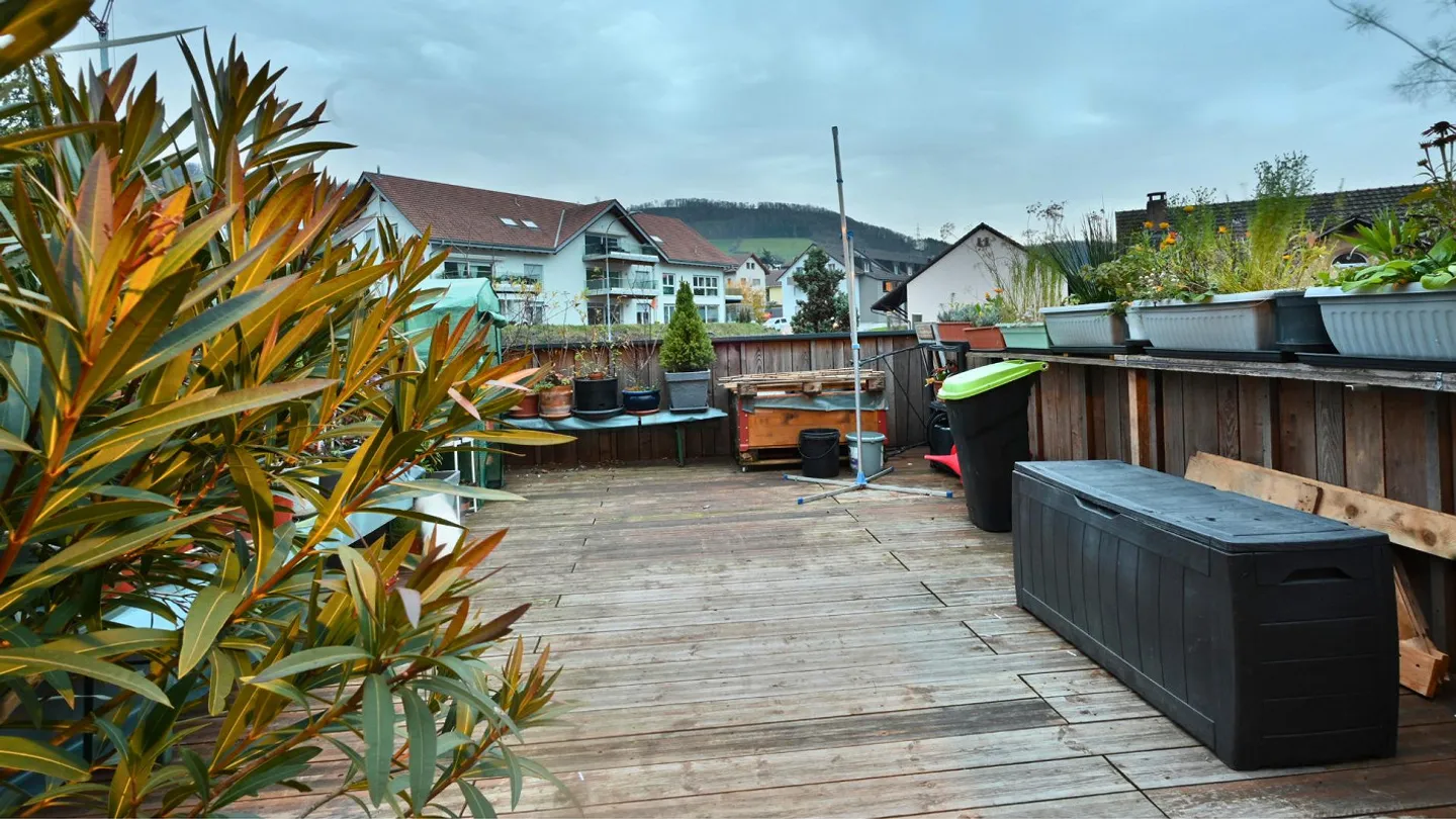 2.5-Room Apartment with Large Terrace in the House for Lions - Photo 12 of 15