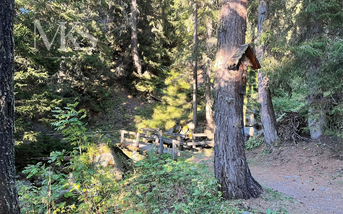 Forest Bathing in Your Mountain Cabin in Goms - Photo 11 of 14