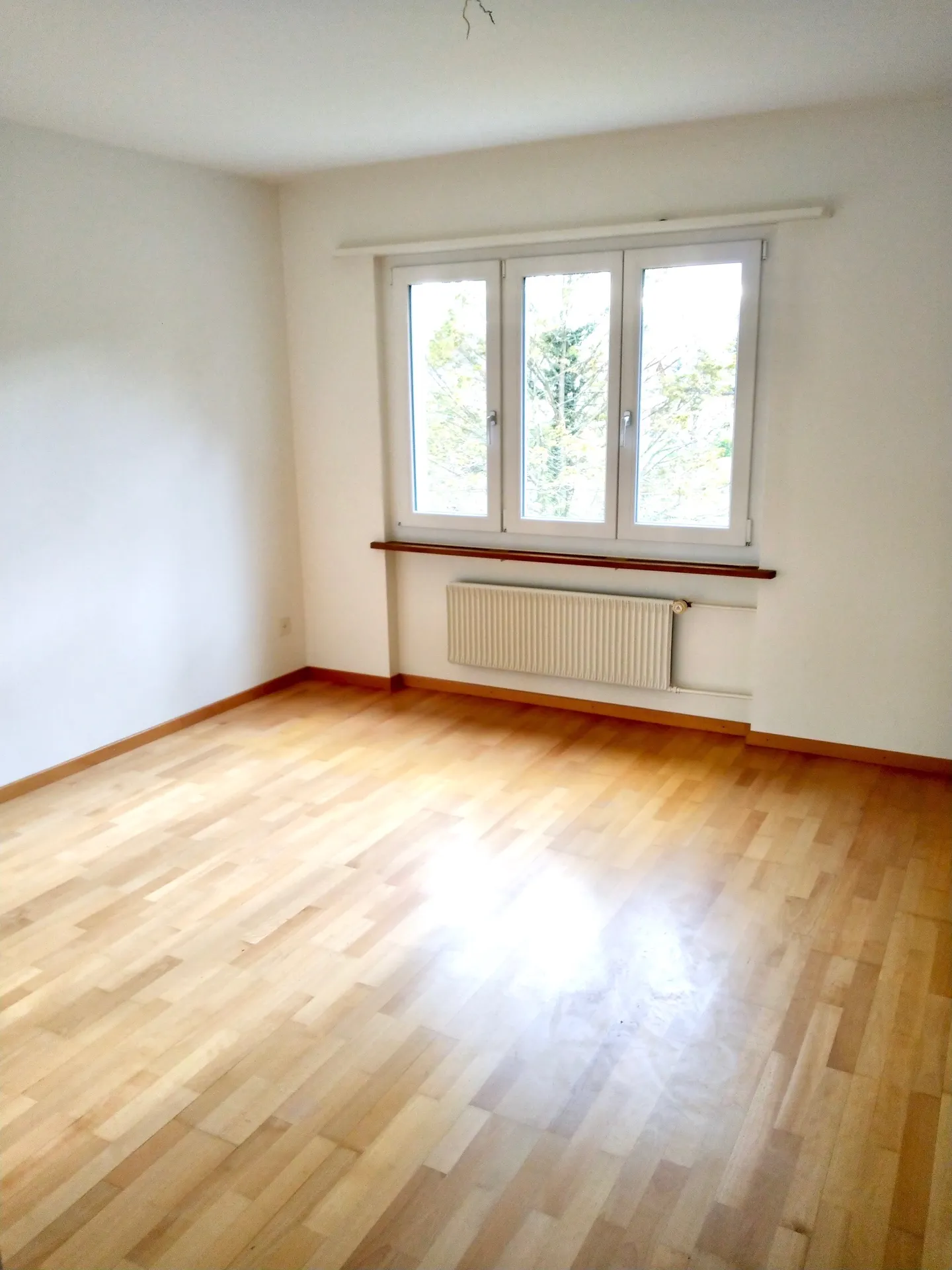 3 Zimmer Wohnung - Foto 4 von 8