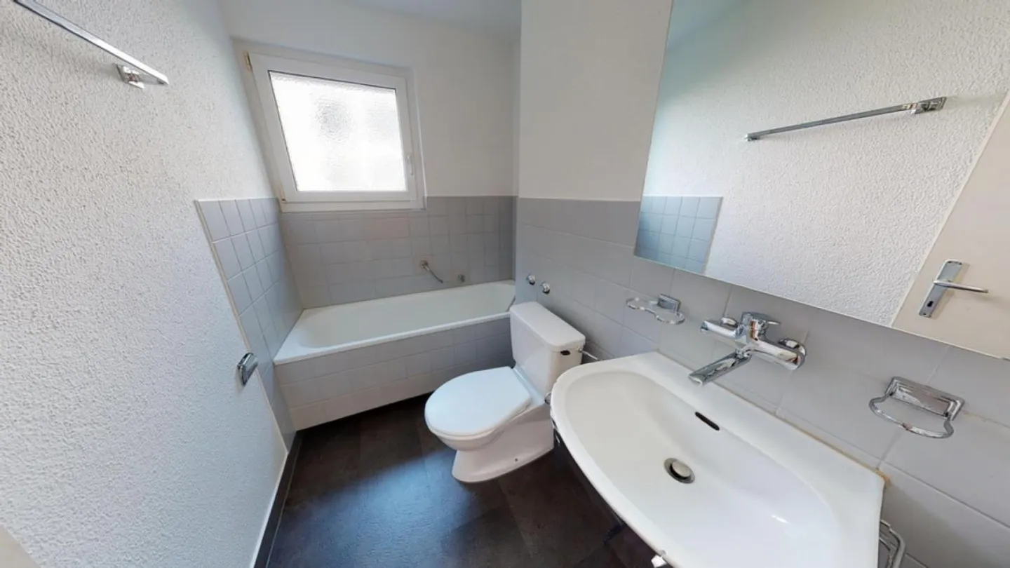 Vie tranquille près du lac et de la ville - Photo 8 sur 10