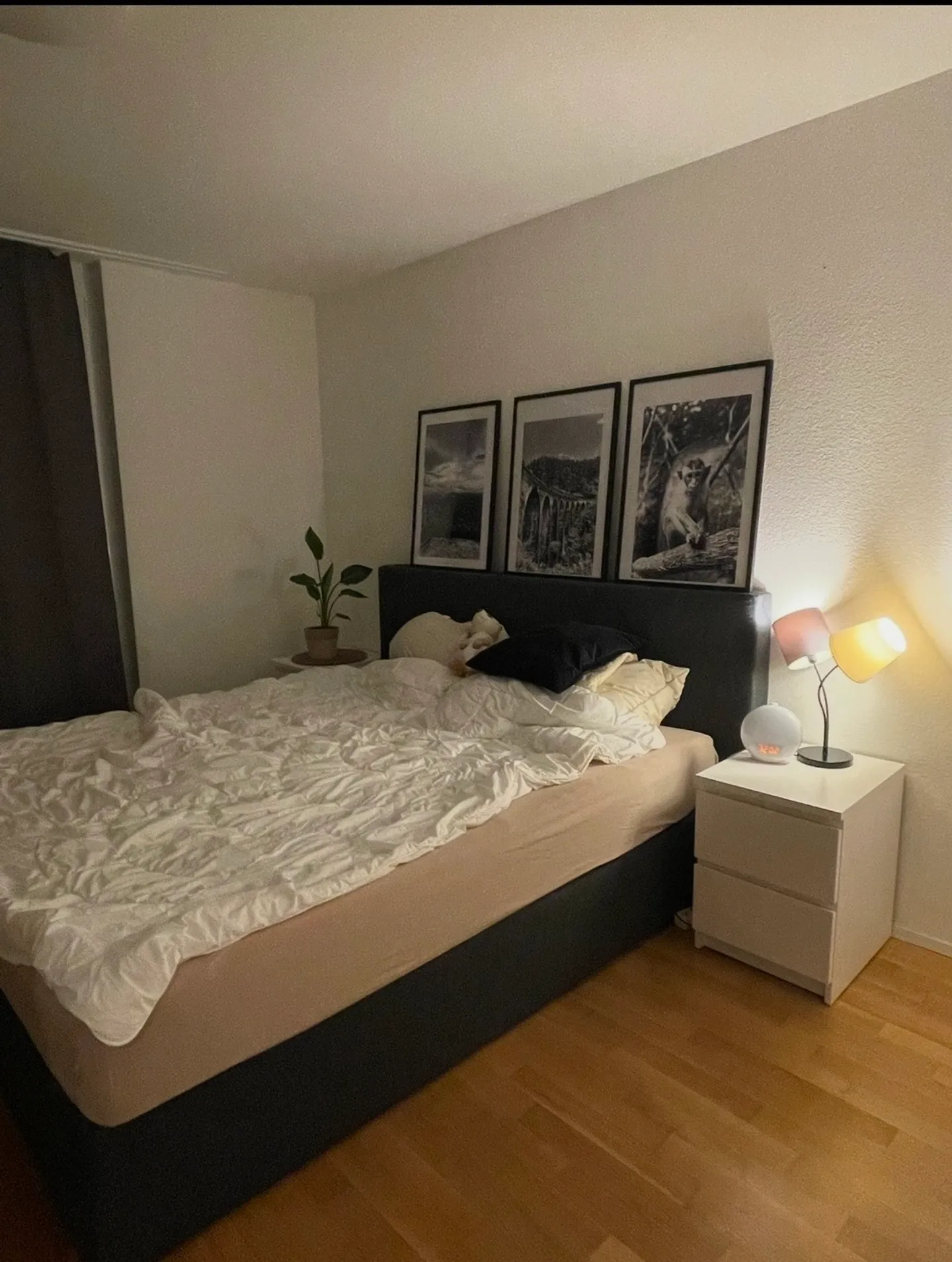 Helle 2,5-Zimmer-Wohnung - Foto 5 von 6
