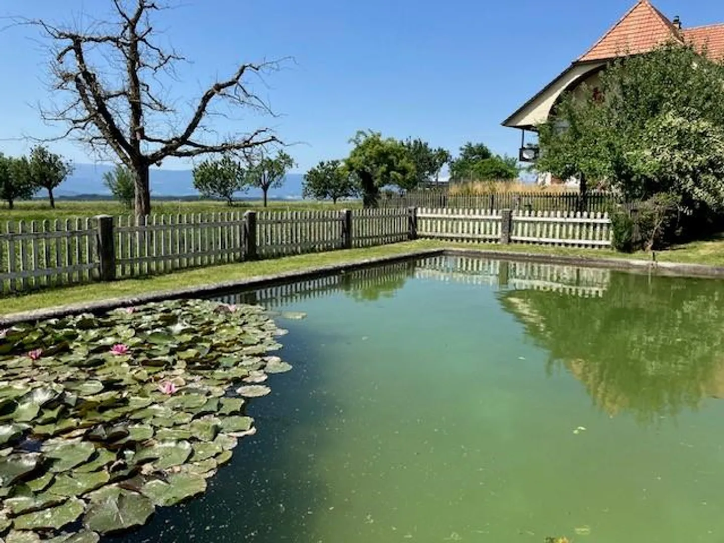Wohnung mit Charme auf dem Land mit herrlicher Aussicht - Foto 10 di 12